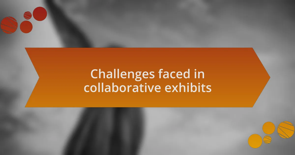 Challenges faced in collaborative exhibits