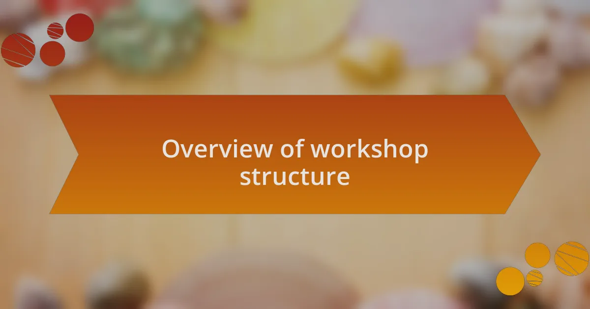Overview of workshop structure